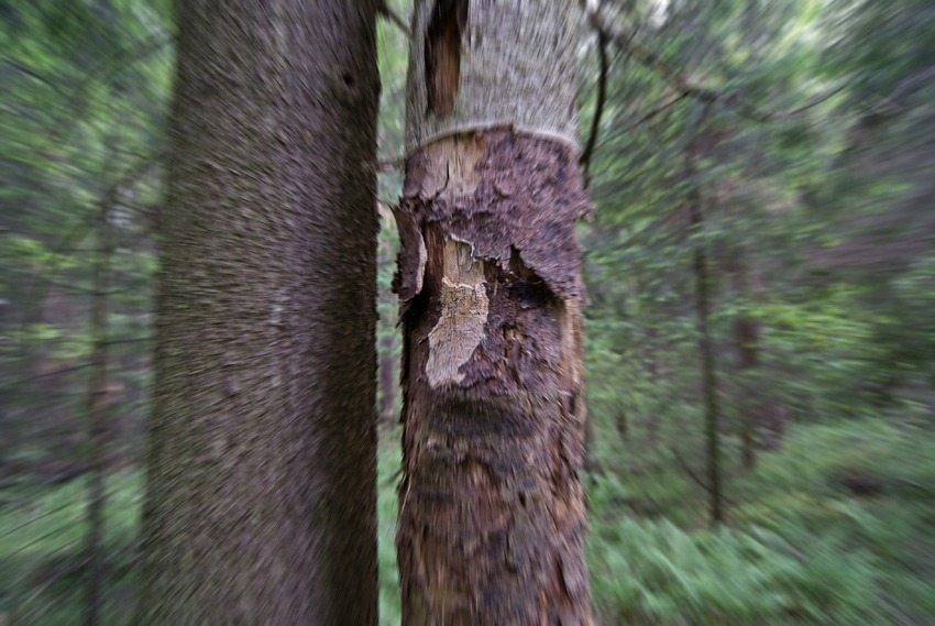  , 