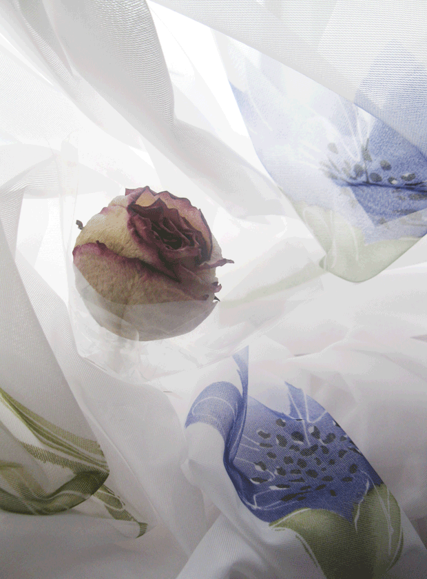  Tenderness