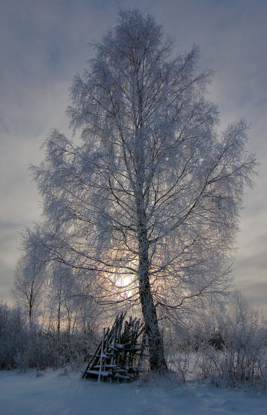  winter landscape