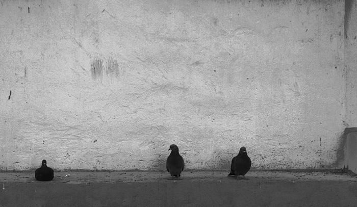  chick talk / -