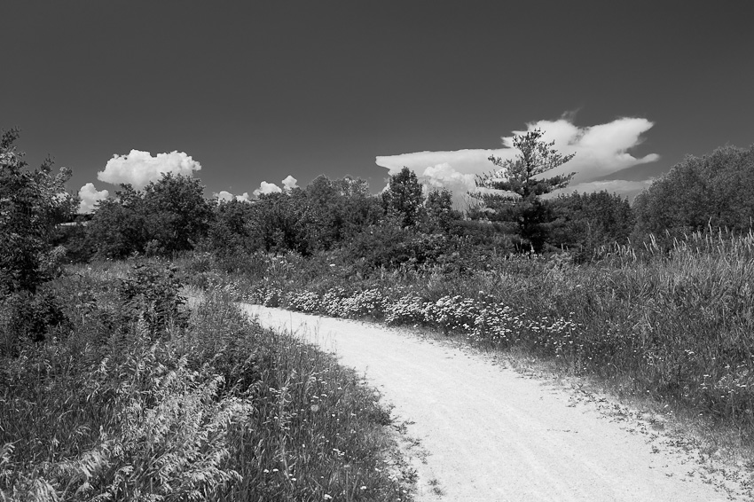  DSC 0894.jpg