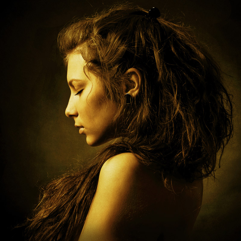  The Lion