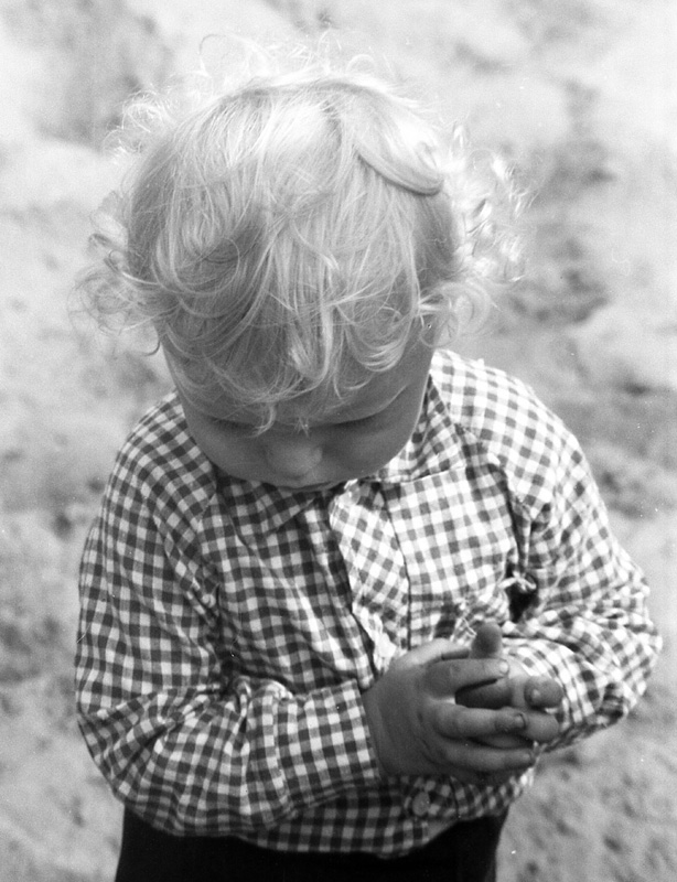    (1983)