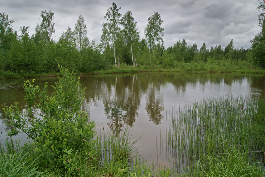      (2)