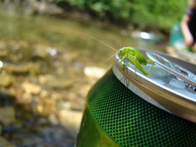  Tuborg