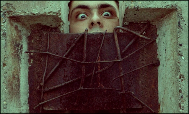  wild face