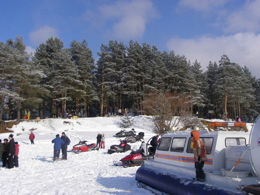    2010