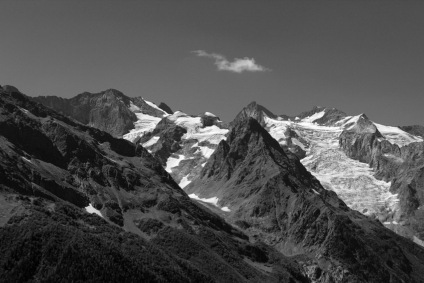    No.9