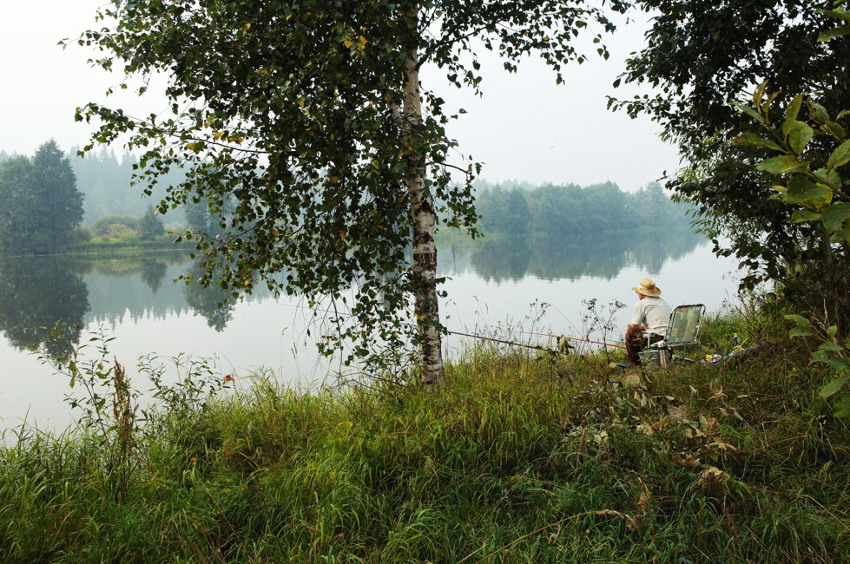    (2010)