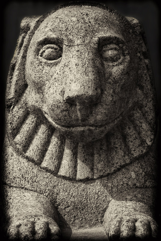  lion