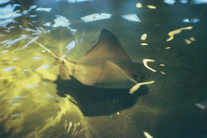  , , 1993