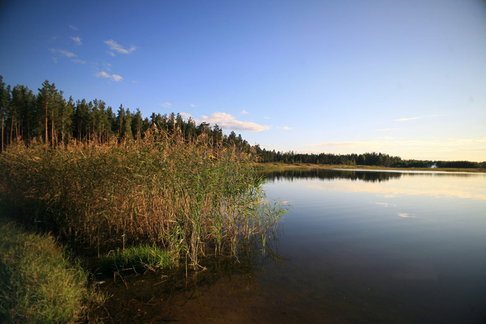  jarvi