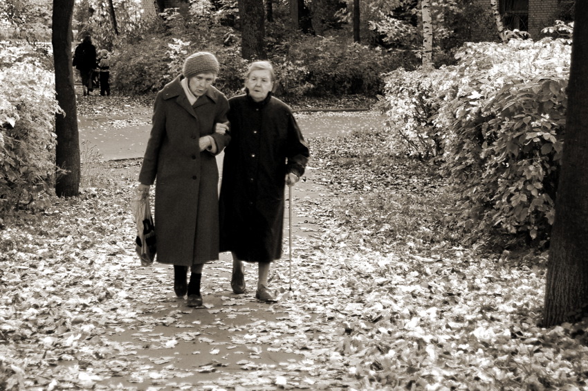   (2003)
