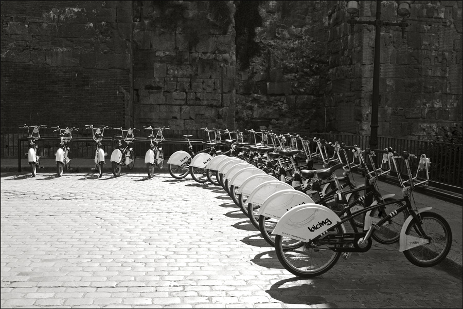  bicings