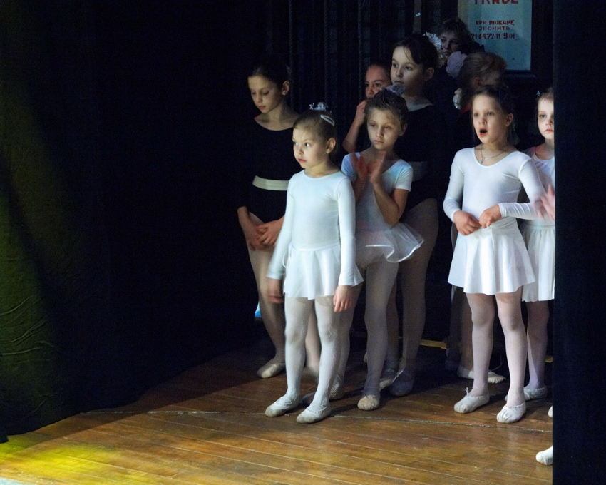     (2009)