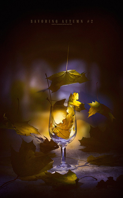  Savoring autumn #2