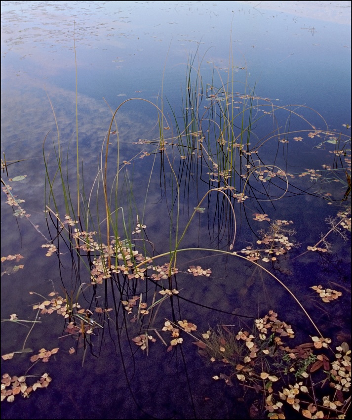  20 000 