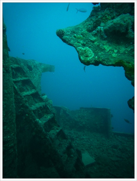  Thistlegorm (5)