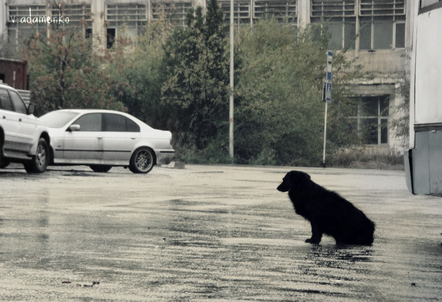  alone