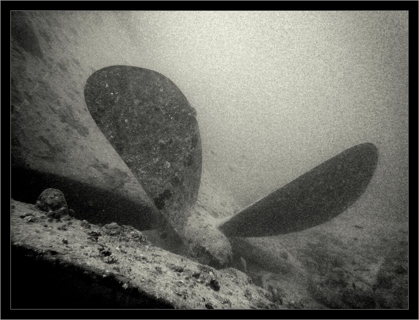 Thistlegorm (7)