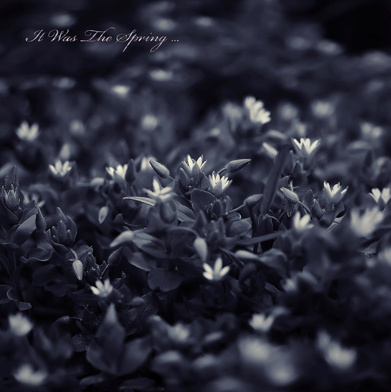  It Was The Spring