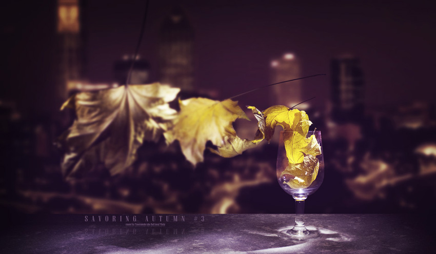  Savoring autumn #3