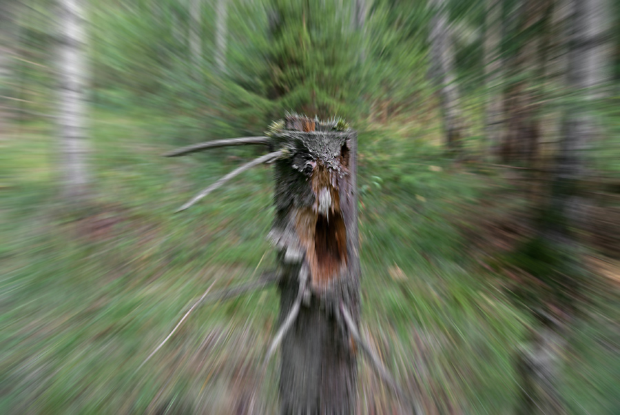   , 