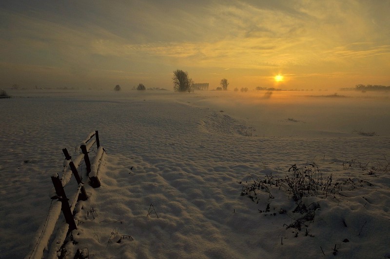 Foggy morning.