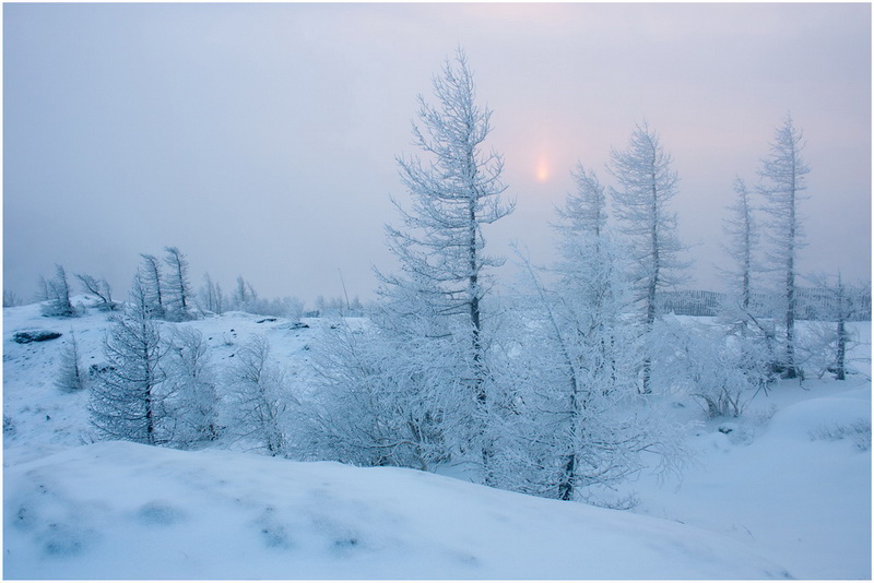  -20