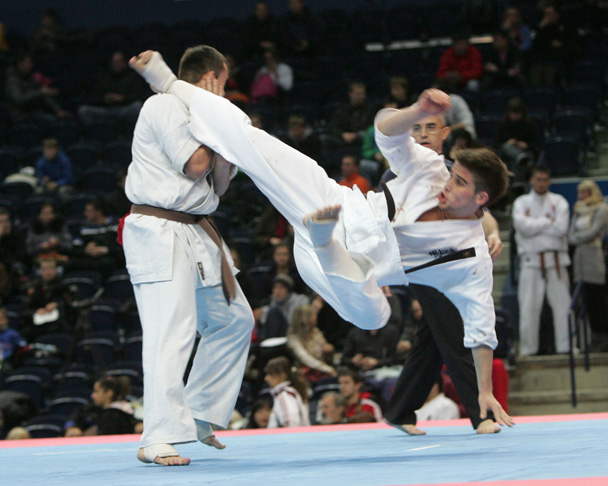  Kyokushin Karate