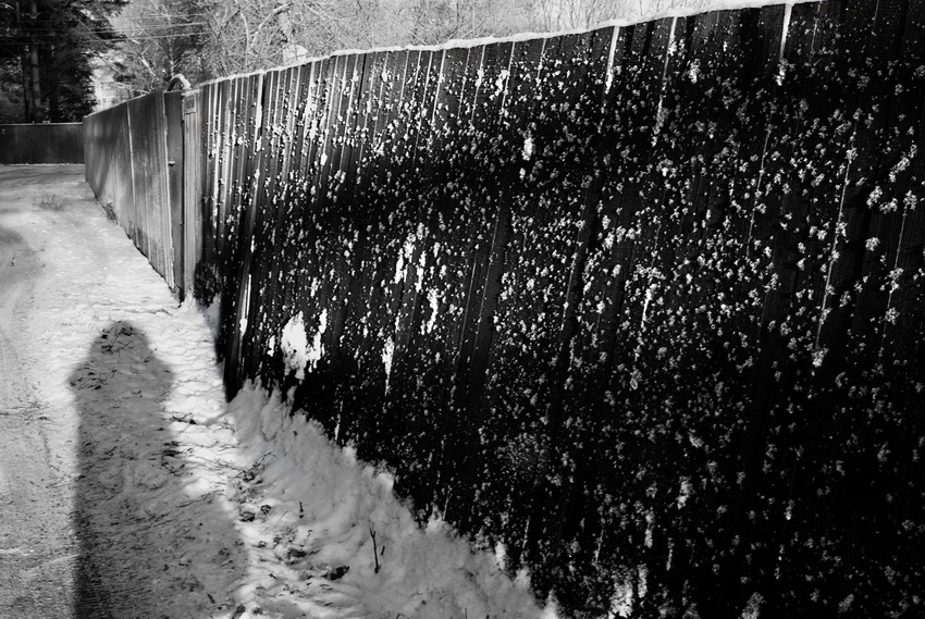  winter #3