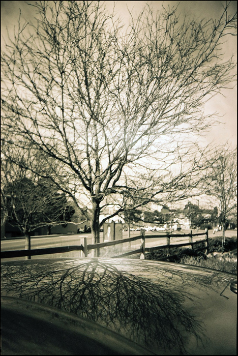  roots