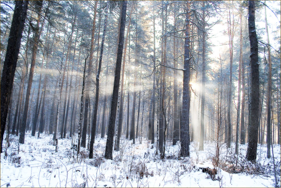    , -40