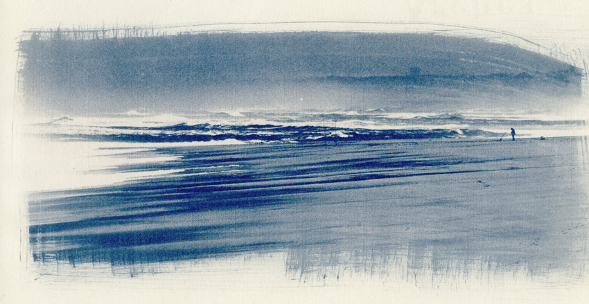  cyanotype3609