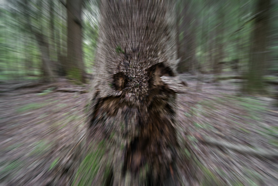   , 