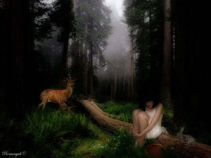  the path