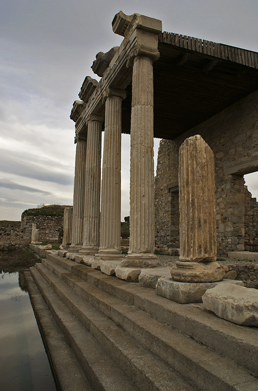  Delphinion