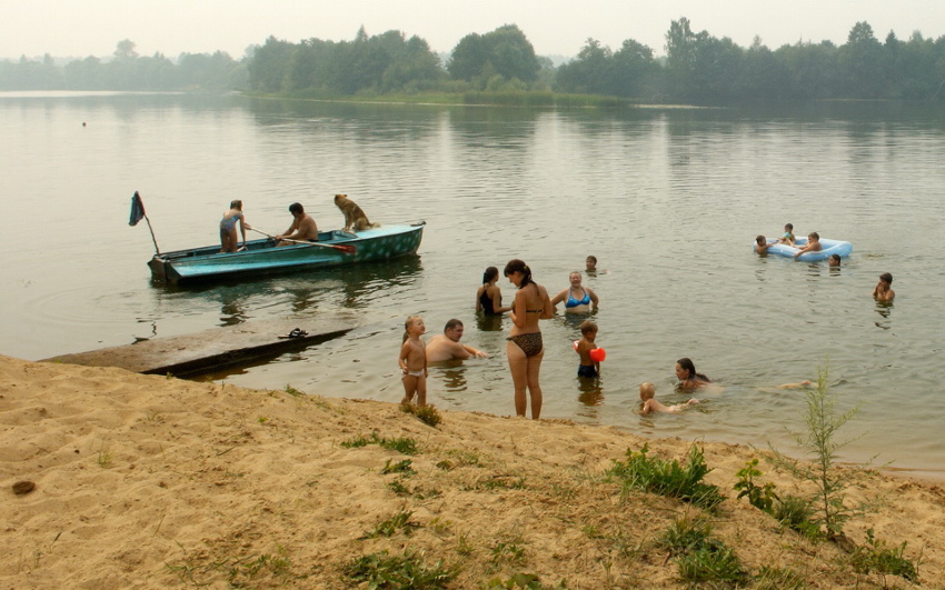     (2010)