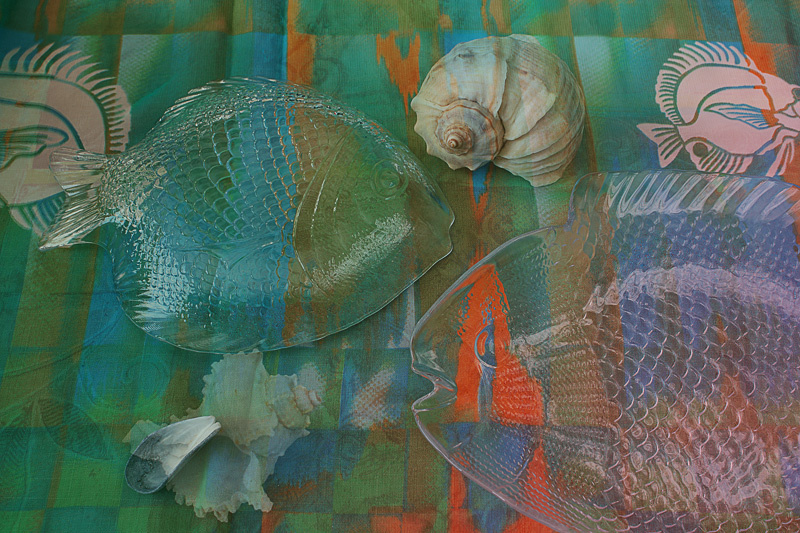  fish