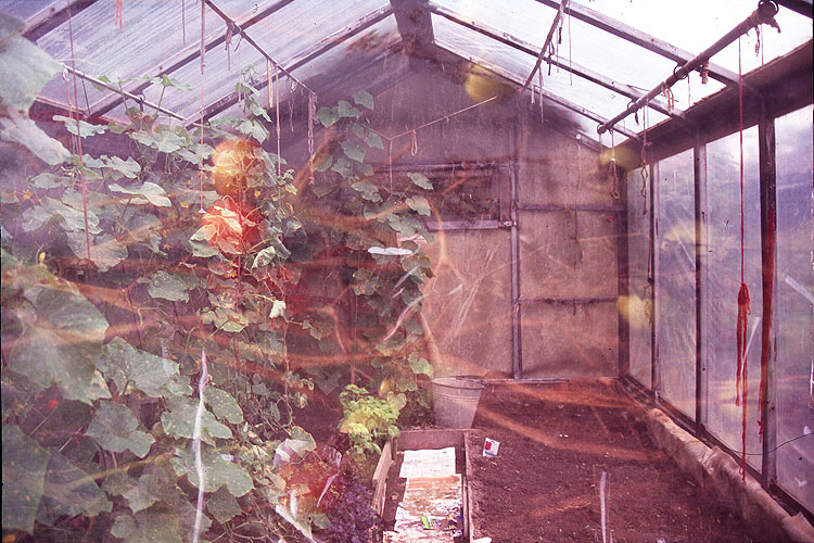  greenhouse effect