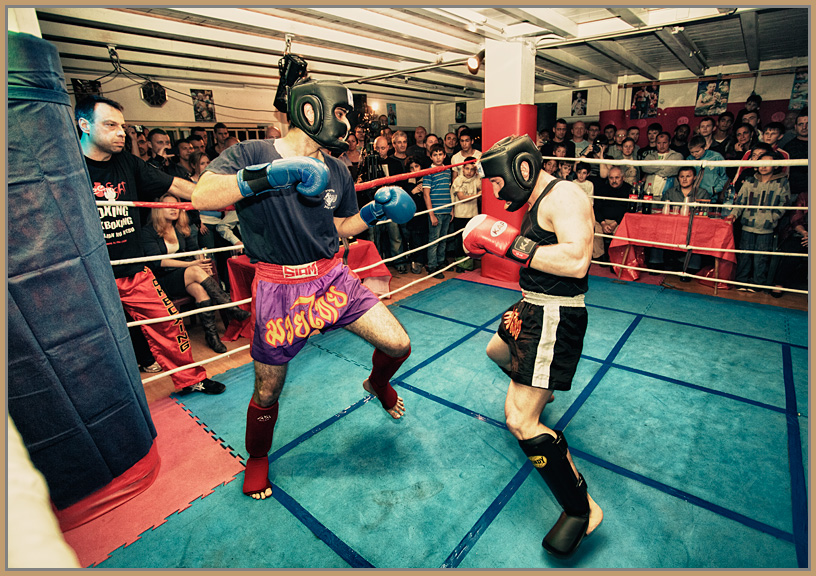  Free fight