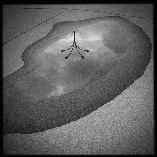  Lomo #6
