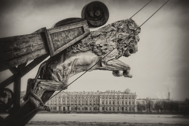  city of lions
