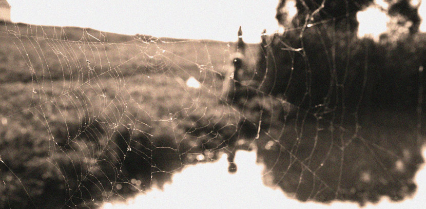  web