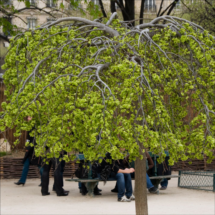  Paris2011.1