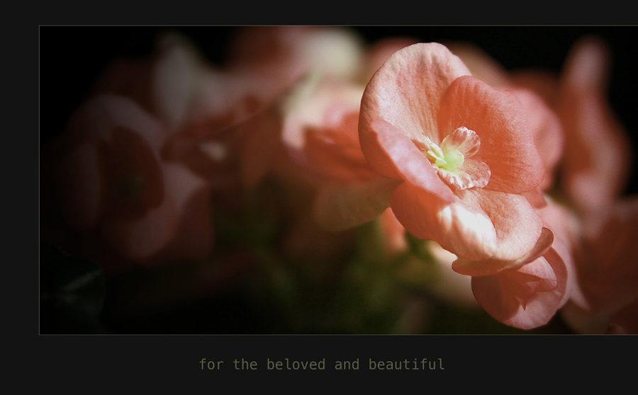  with love...