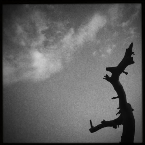  Lomo #37