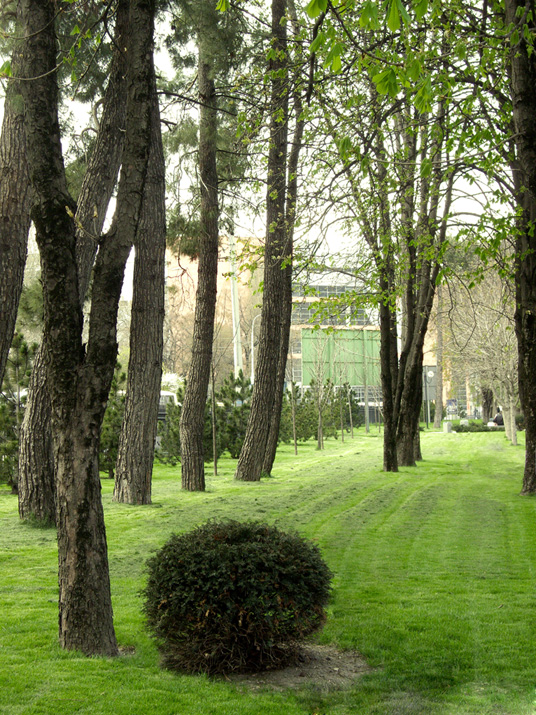  Park