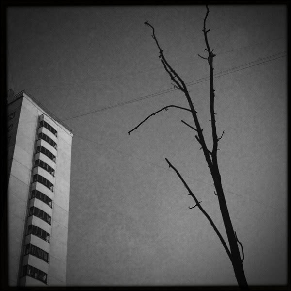  Lomo #47
