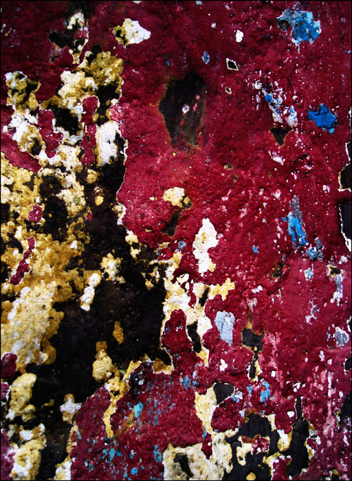  mold